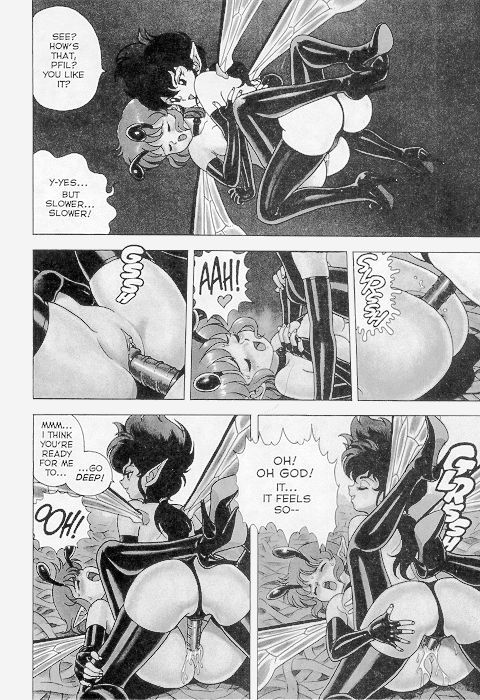 The New Bondage Fairies 06 3 hentai manga