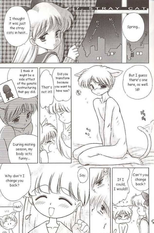 Sailor Venus - The Stray Cat sailor moon hentai manga