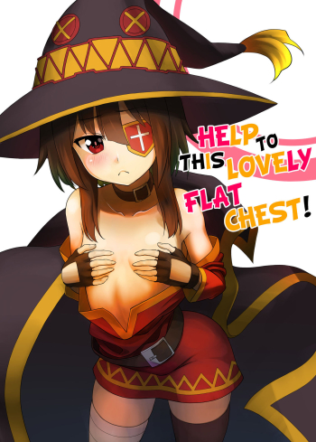 Kono Kawairashii Hinnyu ni Kyuusai o! | Help to this Lovely Flat Chest!