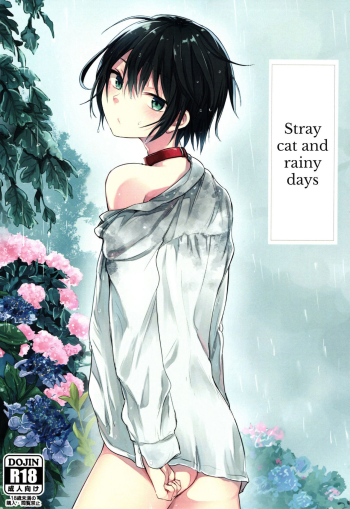 Nora Neko to Rainy Days