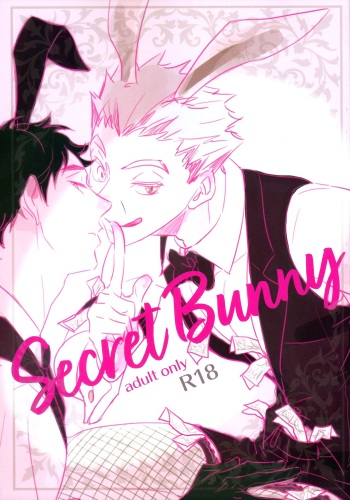 Secret Bunny