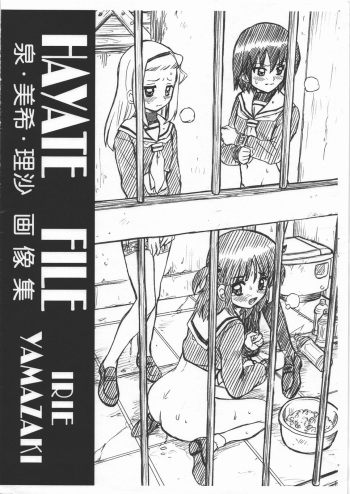 HAYATE FILE - Izumi Miki Risa Gazoushuu