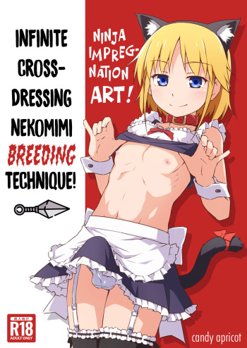 Ninpou! Josou Nekomimi Maid Mugen Tanetsuke no Jutsu!! | Ninja Impregnation Art: Infinite Crossdressing Nekomimi Breeding Technique!