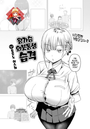 Dekapai Gimai, Syuurai | Big Tits Sister's Attack